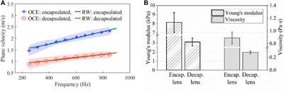 The lens capsule significantly affects the viscoelastic properties of the lens as quantified by optical coherence elastography